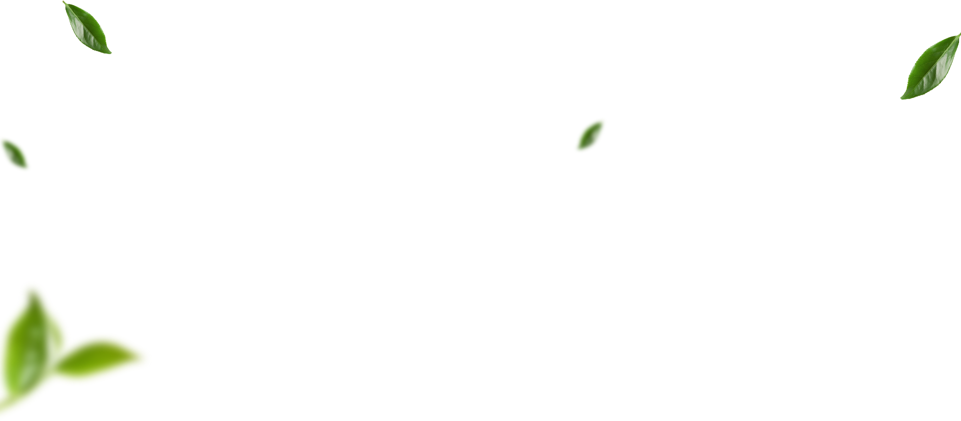 Hangzhou Baoda Tea Co., Ltd.